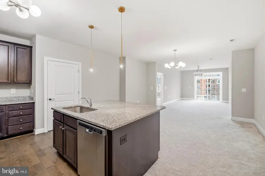 10520 Resort Road #303, Ellicott City, MD 21042 - #3