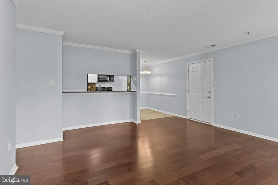 4704 Dorsey Hall Dr #203, Ellicott City, MD 21042 - #3