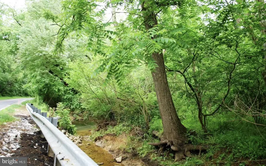 Carrs Mill Rd, Woodbine, MD 21797 - #2