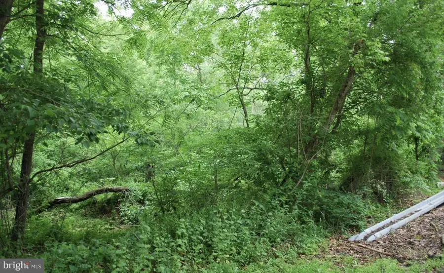 Carrs Mill Rd, Woodbine, MD 21797 - #3