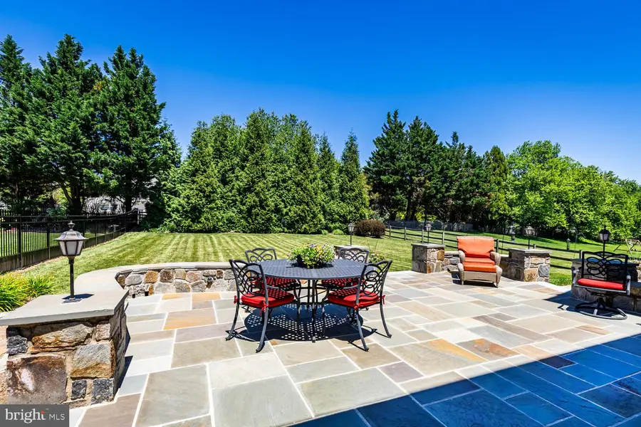 3029 Carlee Run Ct, Ellicott City, MD 21042 - #3