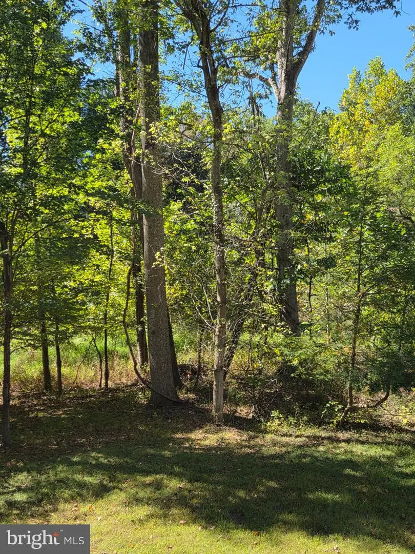 5253 Open Window, Columbia, MD 21044 - #2