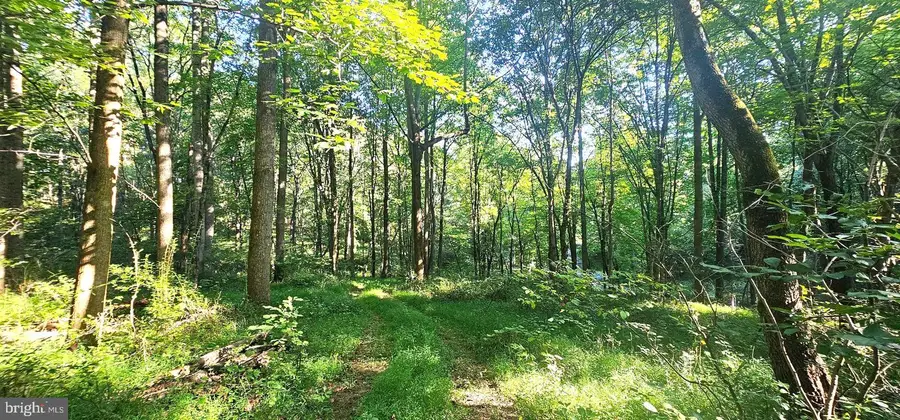 546 W Watersville Rd, Mount Airy, MD 21771 - #3