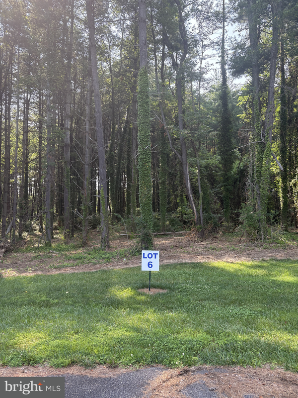 6 Wilson Point Rd, GALENA, MD 21635