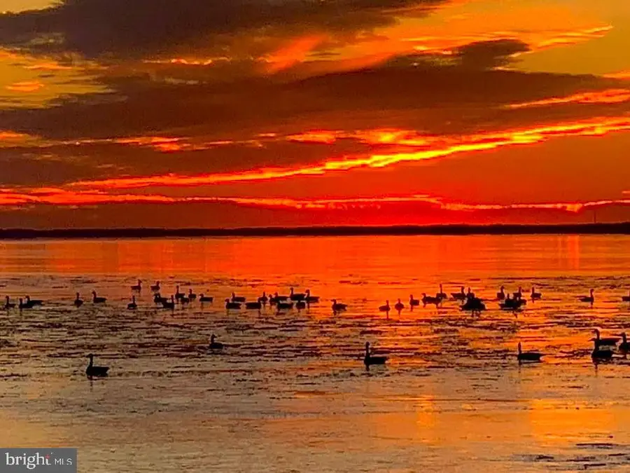 6520 Swan Creek Rd, Rock Hall, MD 21661 - Image #3