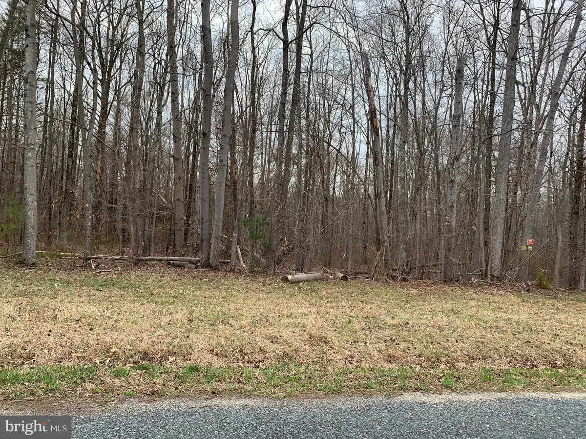 Black Bottom Rd, Galena, MD 21635 - #1