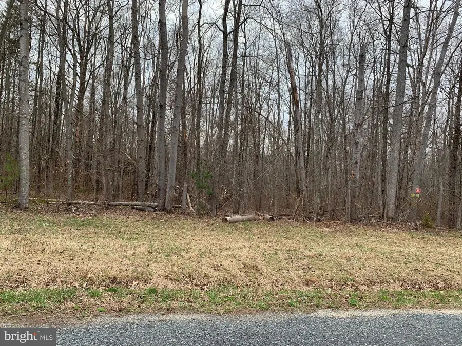 Black Bottom Rd, Galena, MD 21635 - #3