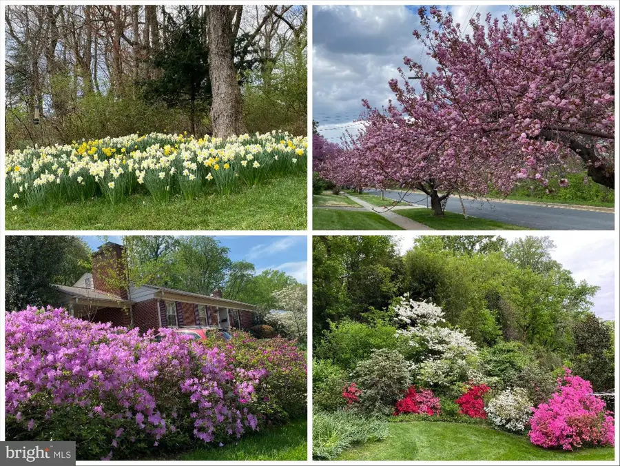 8200 Beech Tree Rd, Bethesda, MD 20817 - Image #2