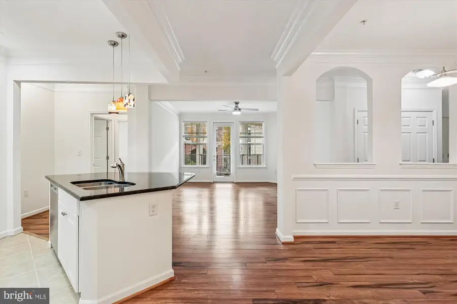 23 Arch Pl #273, Gaithersburg, MD 20878 - Image #3