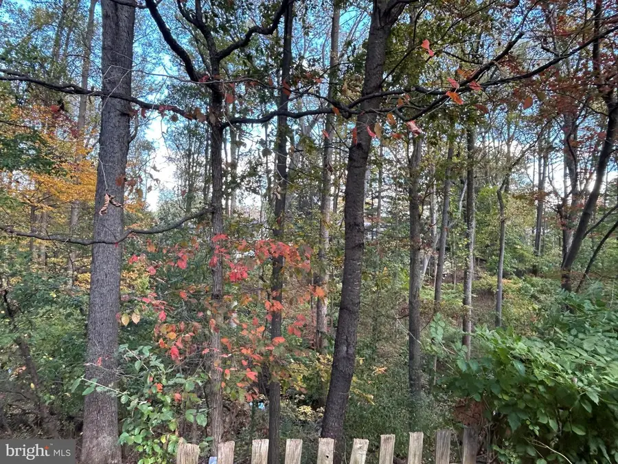 12255 Tildenwood Dr, Rockville, MD 20852 - Image #2