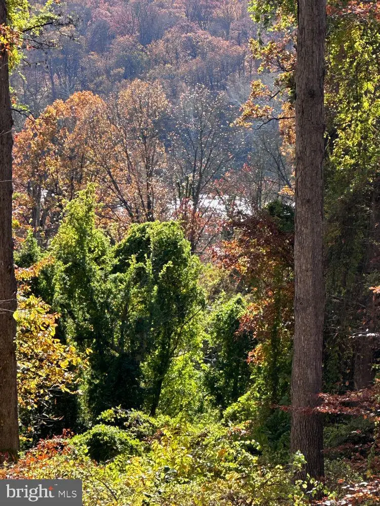 5651 Bent Branch Rd, Bethesda, MD 20816 - Image #2