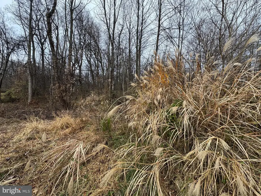 Peach Tree Rd, Dickerson, MD 20842 - Image #3