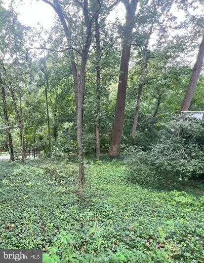 Lot P6 Block 3 Sligo Creek Pkwy, Takoma Park, MD 20912 - #1