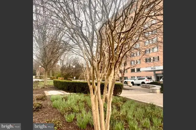 1900 Lyttonsville Rd #717, Silver Spring, MD 20910 - #3