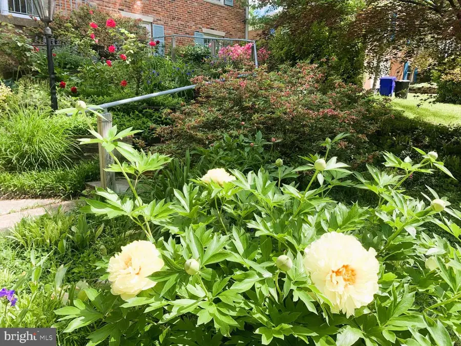 5807 Ogden Ct, Bethesda, MD 20816 - #3