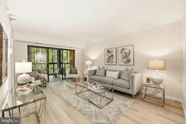 15100 Interlachen Dr #4-206, SILVER SPRING, MD 20906