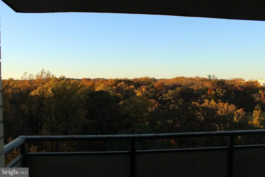 5225 Pooks Hill Rd #1326 North, Bethesda, MD 20814 - #2