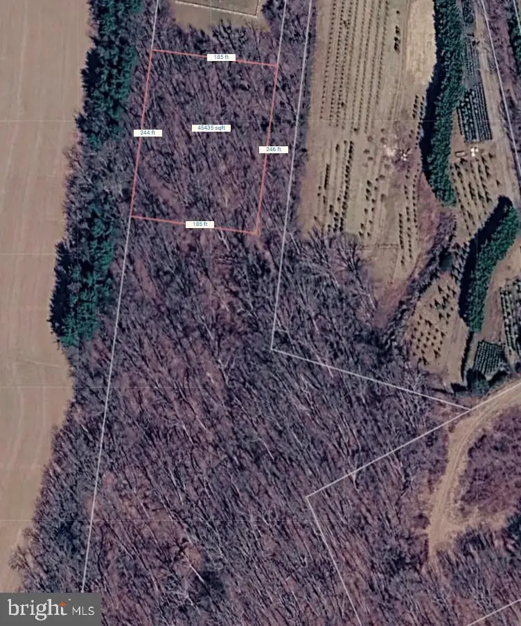 P #350 Moxley Rd, Damascus, MD 20872 - #2