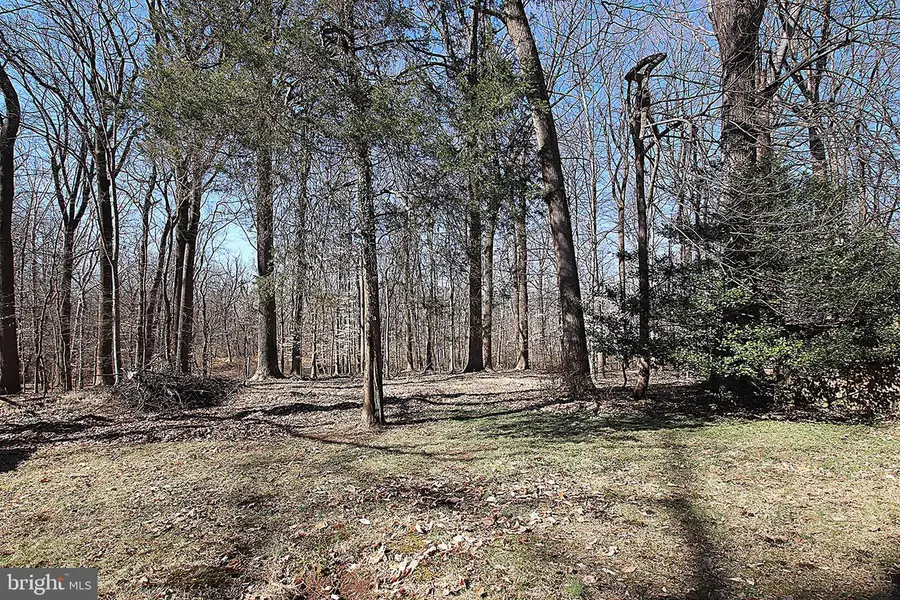 13404 Dowlais Dr, Rockville, MD 20853 - #3