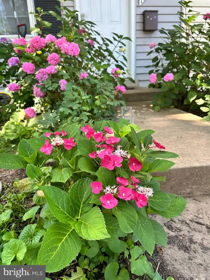 17736 Larchmont Ter, Gaithersburg, MD 20877 - #2