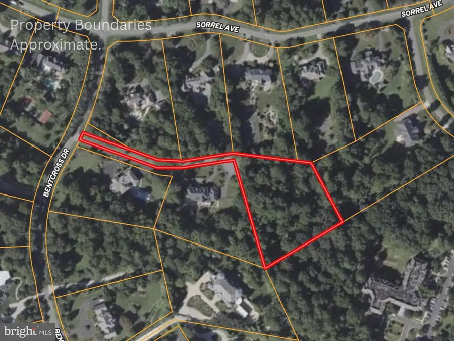 9933 Bentcross Dr, Potomac, MD 20854 - #3
