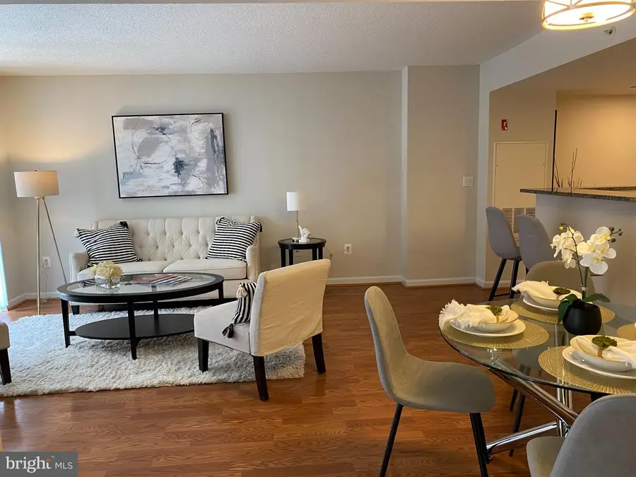 11710 Old Georgetown Rd #628, Rockville, MD 20852 - #2