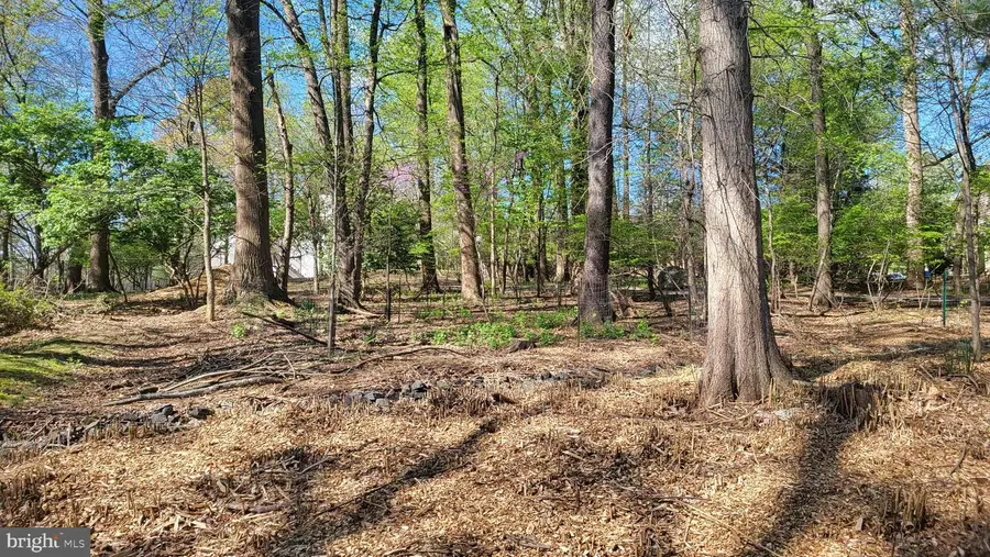 302 New Mark Esplanade, Rockville, MD 20850 - #3