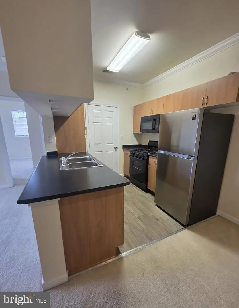 19606 Galway Bay Cir #401, Germantown, MD 20874 - #2