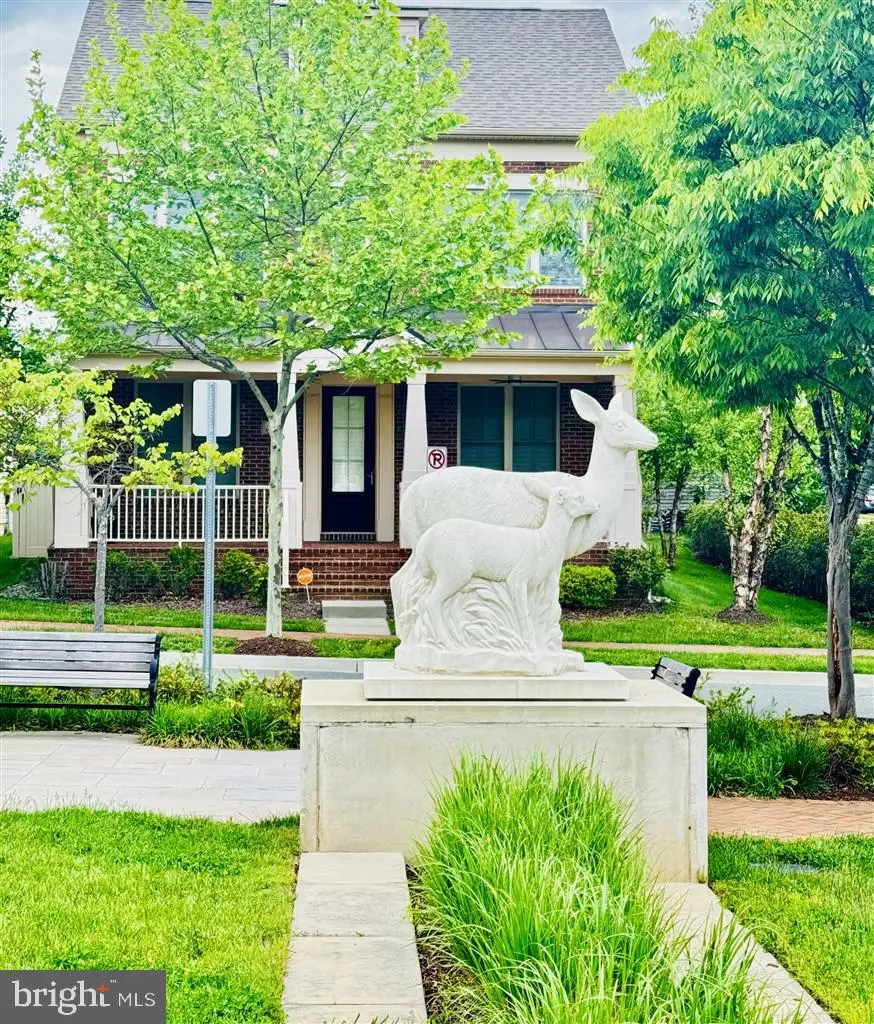 13701 Tribute Pkwy, Clarksburg, MD 20871 - #2