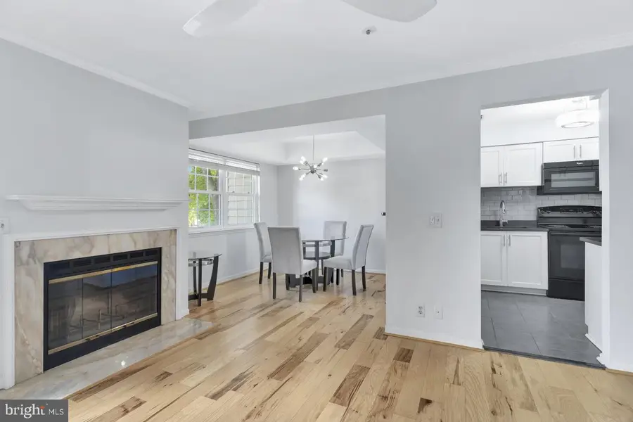 5716 Chapman Mill Dr #150, Rockville, MD 20852 - #3
