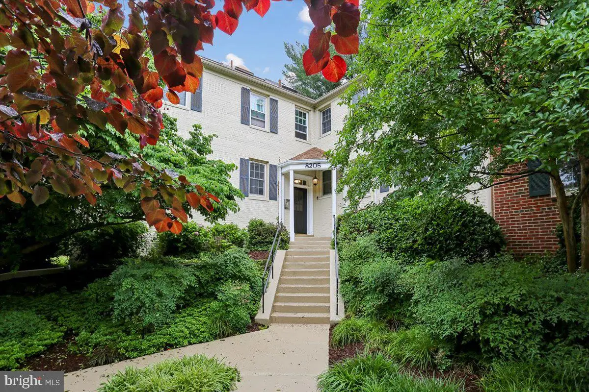 8205 Grubb Rd #101, Silver Spring, MD 20910 - #1
