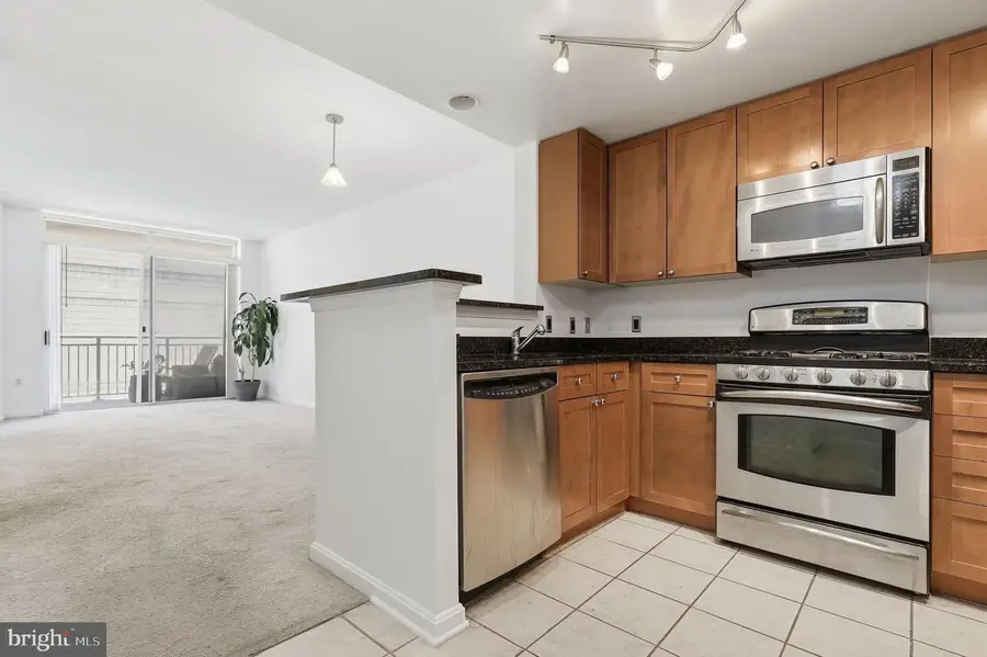 930 Wayne Ave #201, Silver Spring, MD 20910 - #3