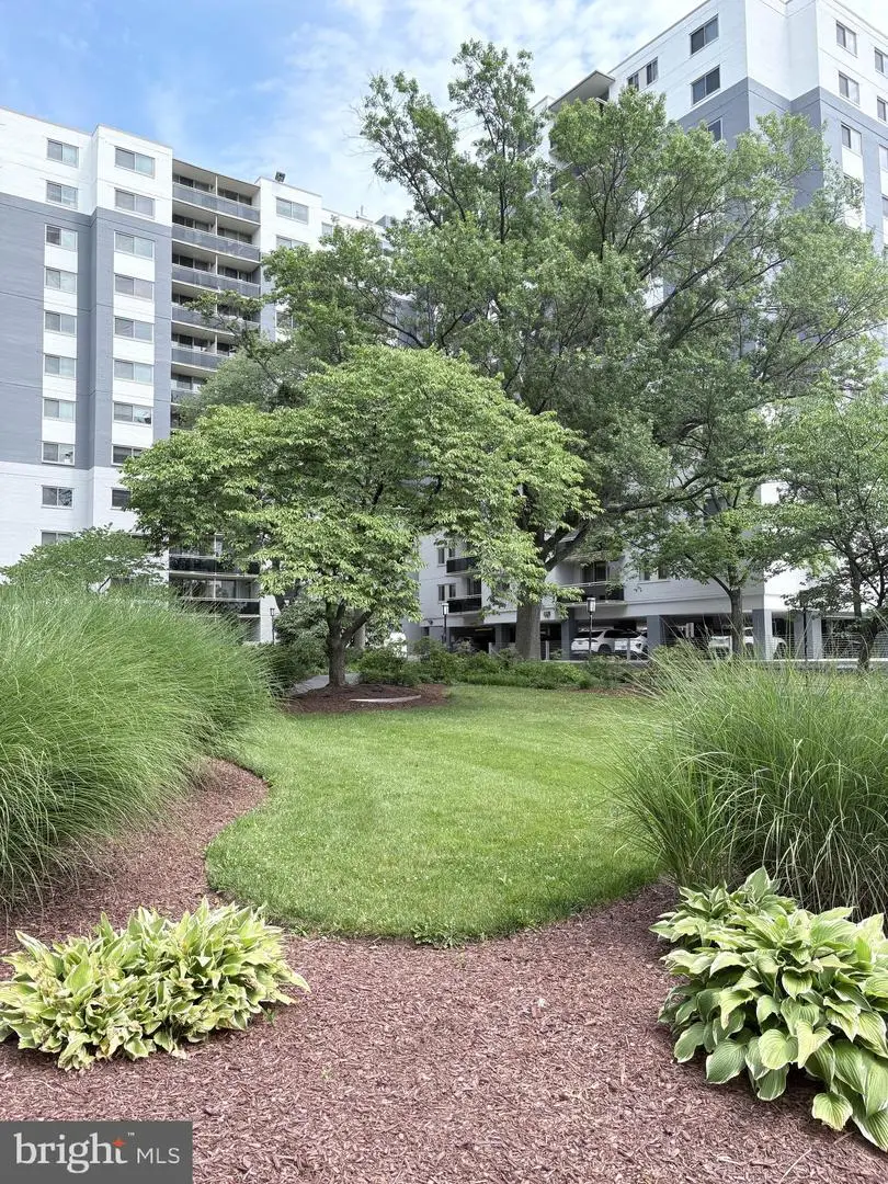 7333 New Hampshire Ave #416 S, Takoma Park, MD 20912 - #1