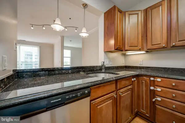 38 Maryland Ave #602, ROCKVILLE, MD 20850