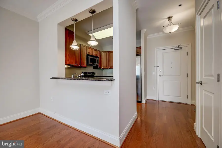 38 Maryland Ave #602, Rockville, MD 20850 - #3