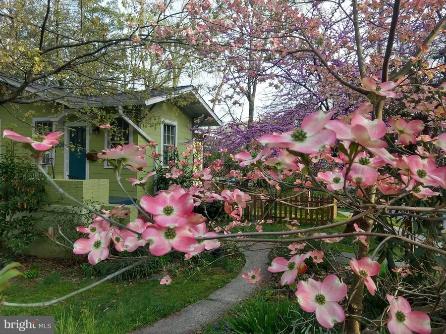301 Elm Ave, Takoma Park, MD 20912 - #2