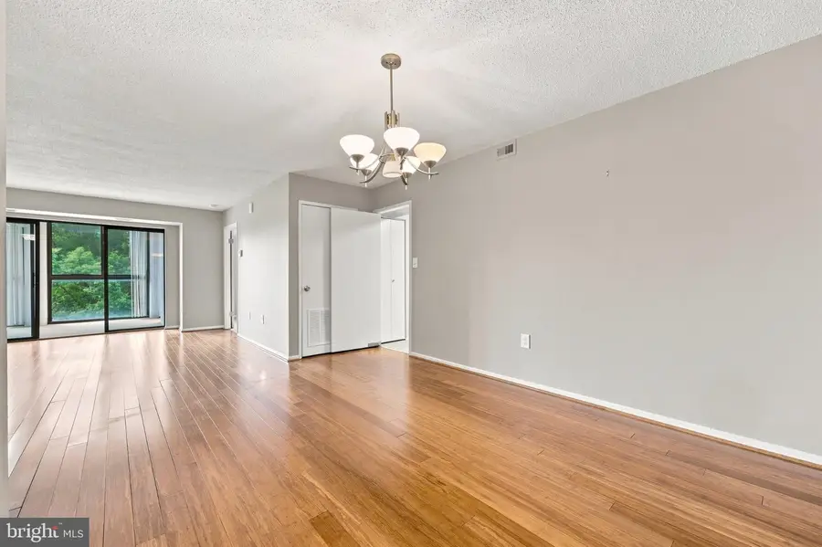 15107 Interlachen Dr #2-415, Silver Spring, MD 20906 - #3