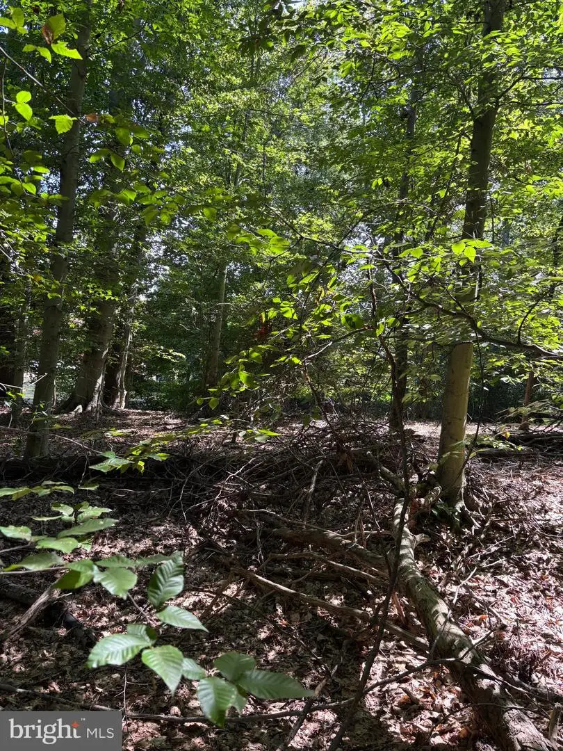 11409 Riverview Rd, Fort Washington, MD 20744 - Image #2