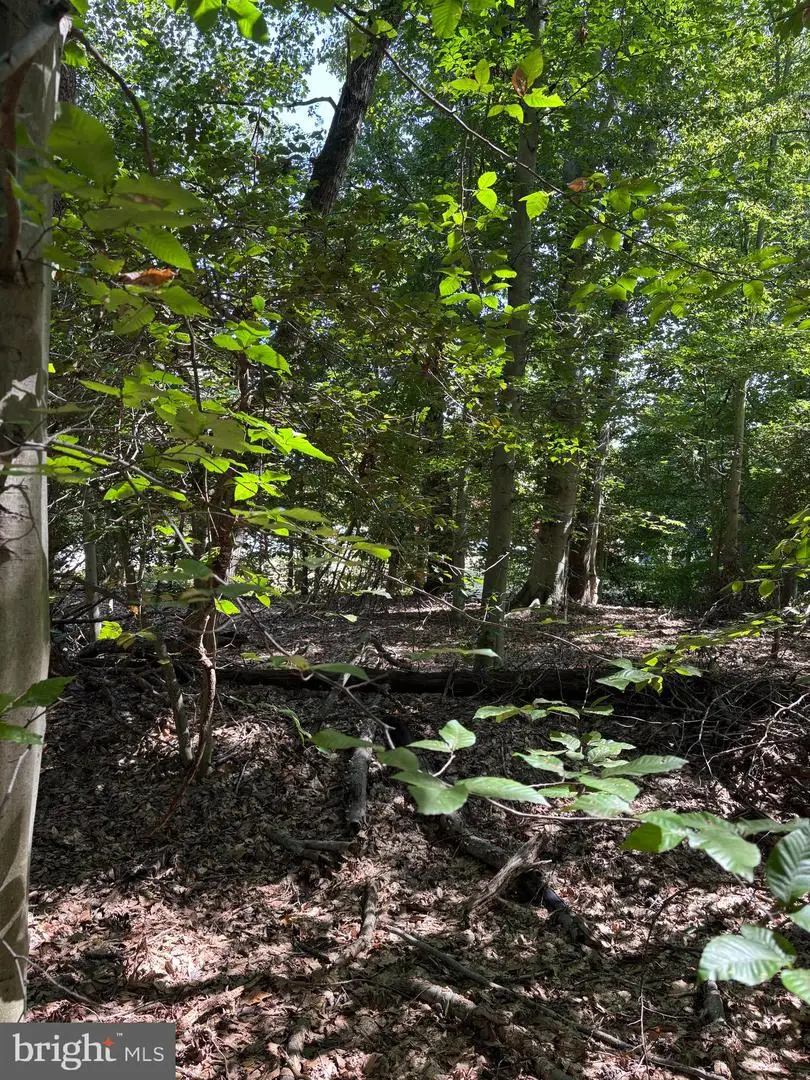 11409 Riverview Rd, Fort Washington, MD 20744 - Image #3