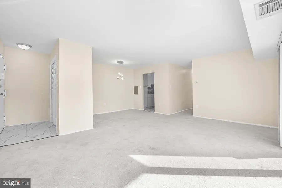 5204 Newton St #304, Bladensburg, MD 20710 - Image #3