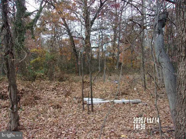 Allentown Rd, Temple Hills, MD 20748 - Image #1