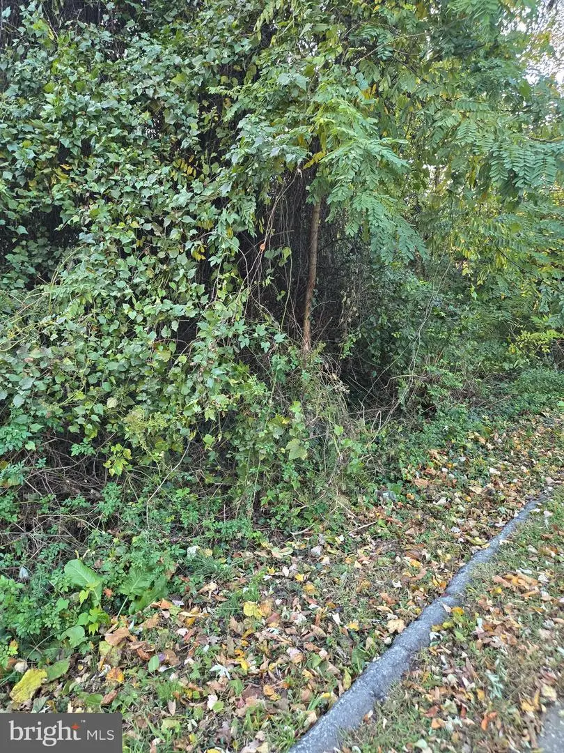 8824 Old Laurel Bowie Rd, Bowie, MD 20720 - Image #1