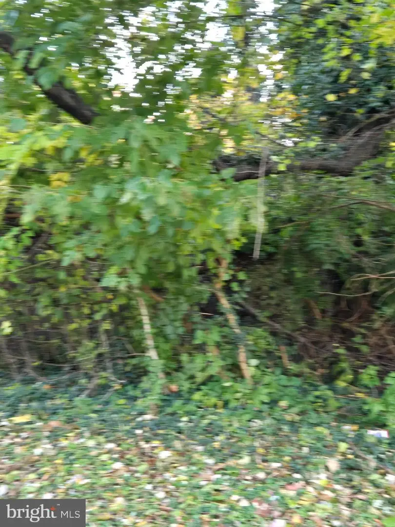 8824 Old Laurel Bowie Rd, Bowie, MD 20720 - Image #3