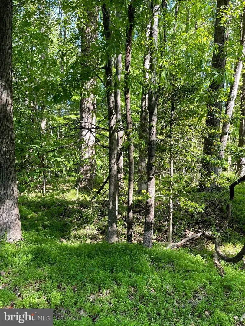 8012 Poplar Hill Dr, Clinton, MD 20735 - Image #1