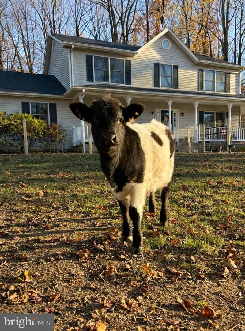 5918 Old Croom Station Rd, Upper Marlboro, MD 20772 - Image #1