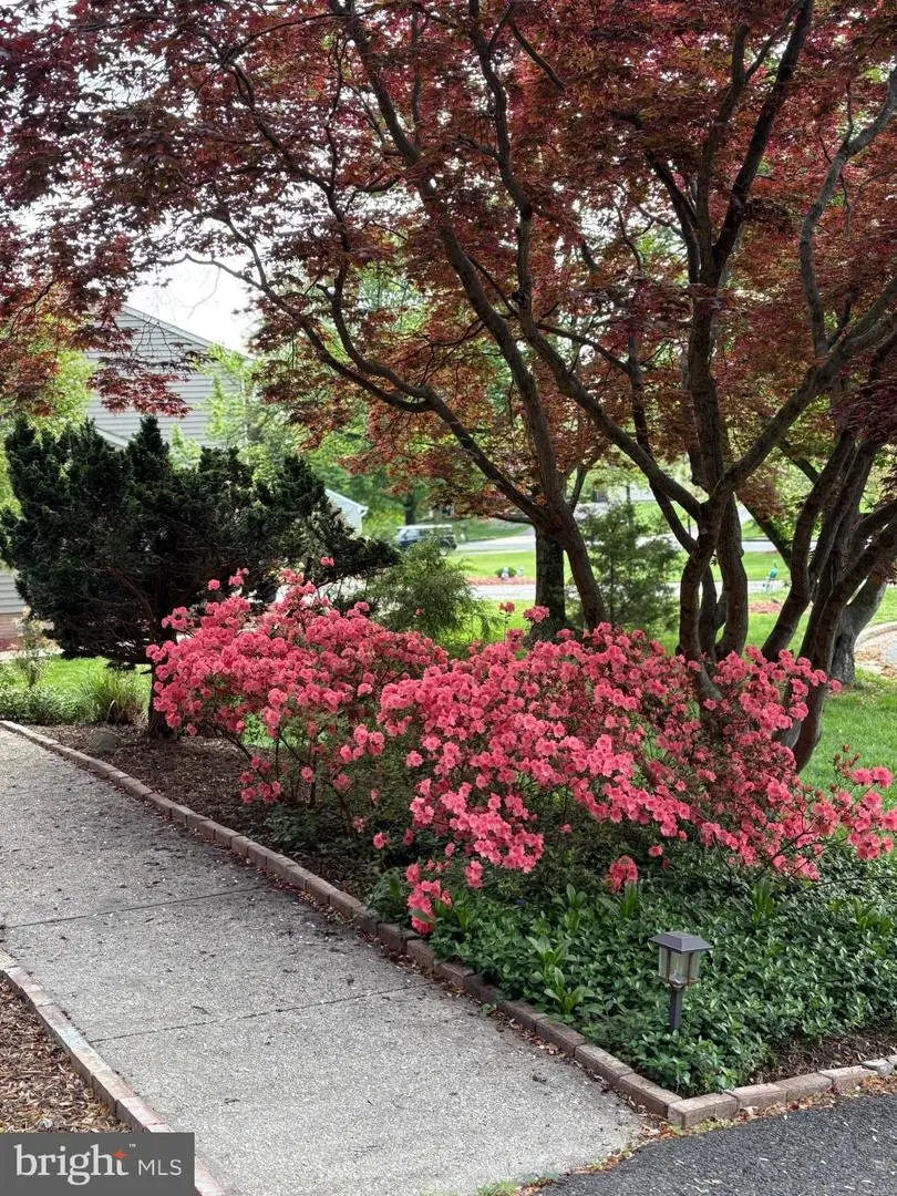 6102 Gallery St, Bowie, MD 20720 - Image #3