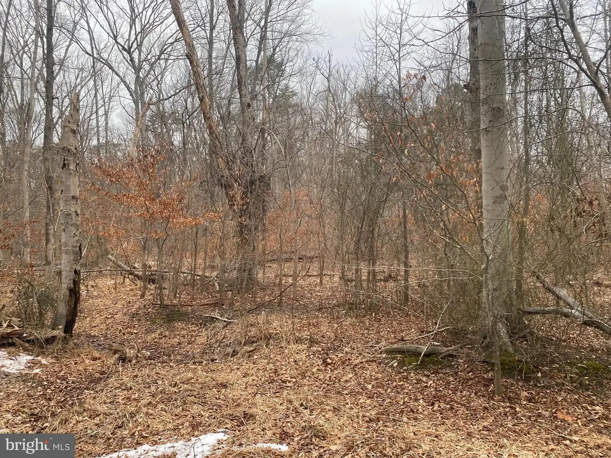 14313 Jericho Park Rd, Bowie, MD 20715 - #1