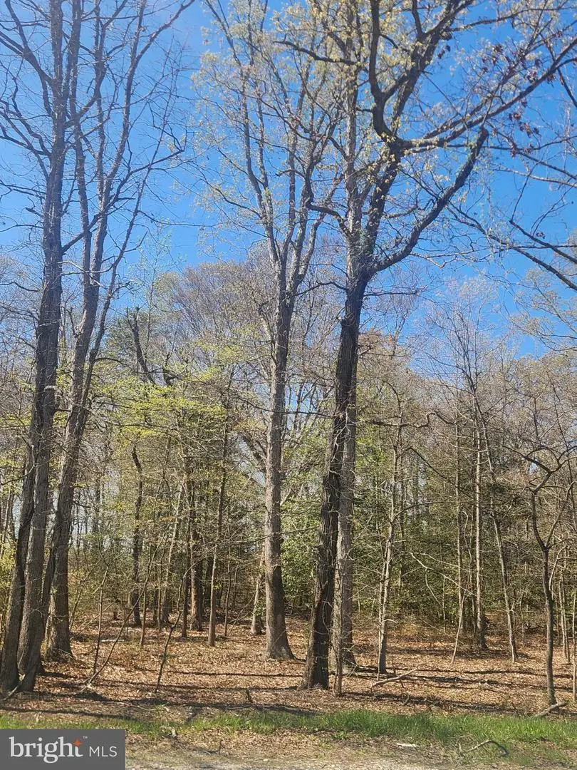 Tower Rd, Brandywine, MD 20613 - #1