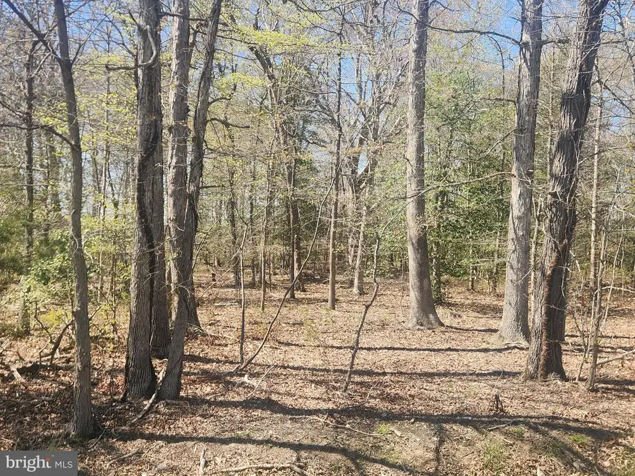 Tower Rd, Brandywine, MD 20613 - #3