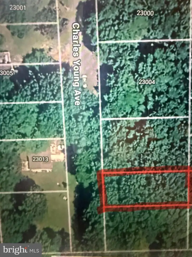 Charles Young Ave, Aquasco, MD 20608 - #1